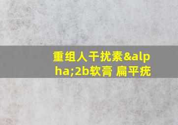 重组人干扰素α2b软膏 扁平疣